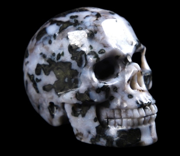Gabbro Skull